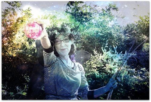 Samara and orb