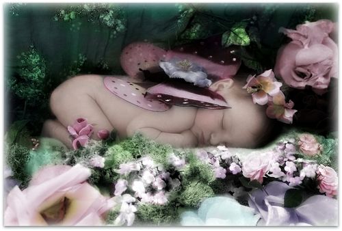 Fairy newborn