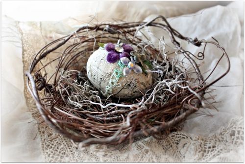 Eggs and nests 022