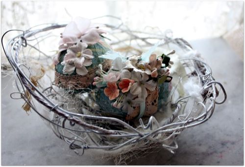 Eggs and nests 020