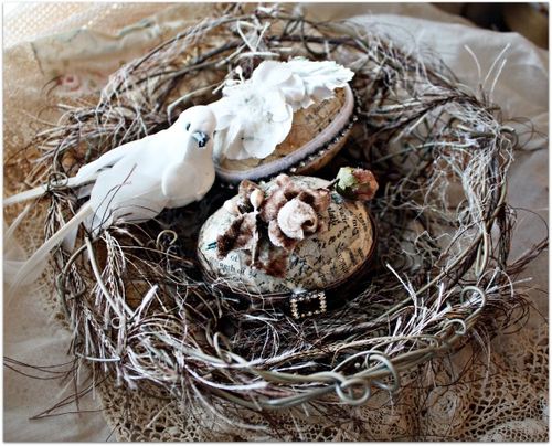 Eggs and nests 025