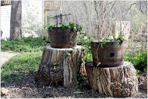 Chicken coop building 065