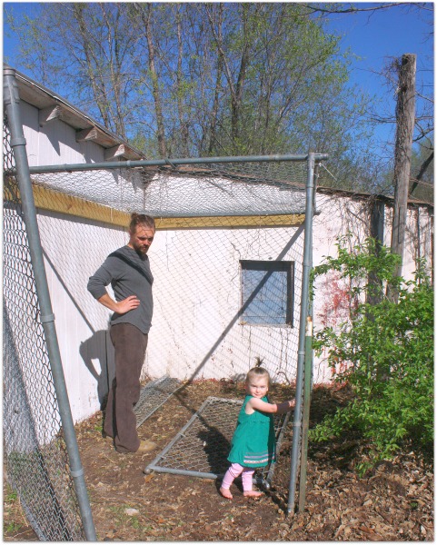 Chicken coop building 038