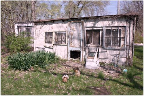 Chicken coop building 070