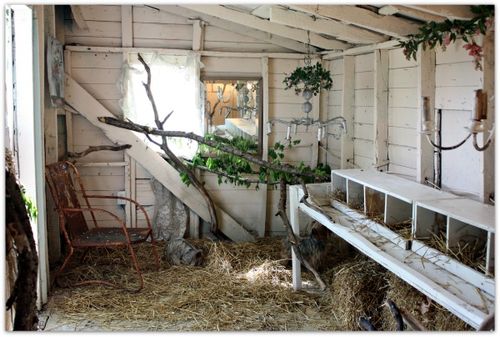 Cleaned up yard finished coop 004