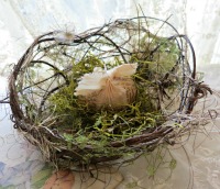Egg1