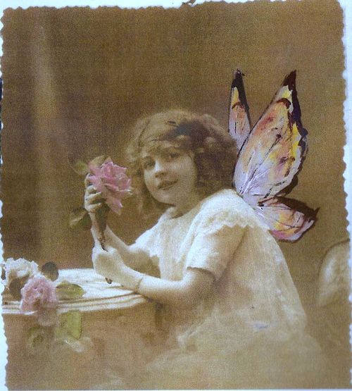 Fairy girl with rose