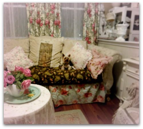 For sale 013
