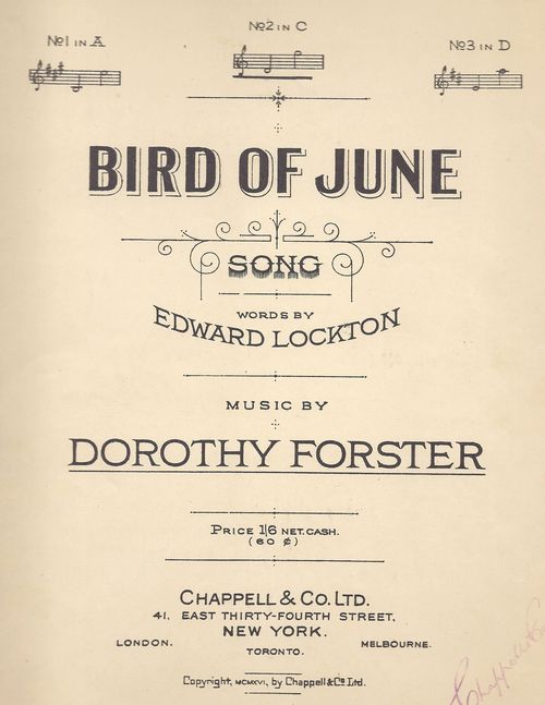 Bird%20of%20june%20(1)