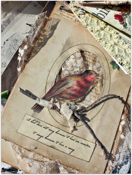 Birdsongbook 008