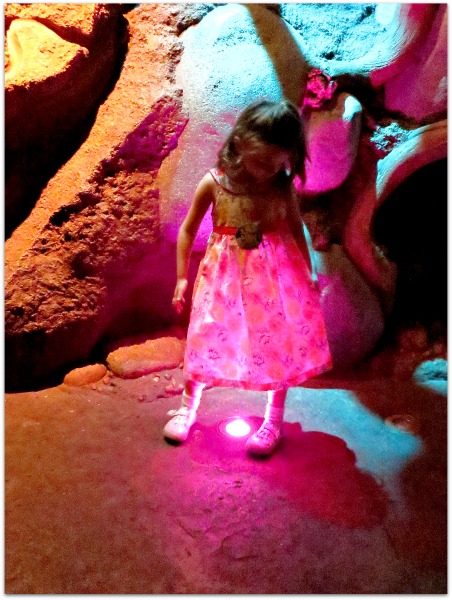 CA Disney 2012 326