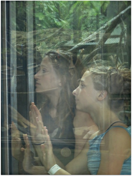 Kc zoo may 12 032