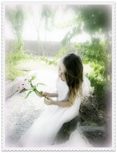 Wediing gown 013