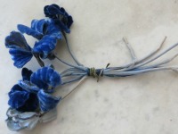 B stem
