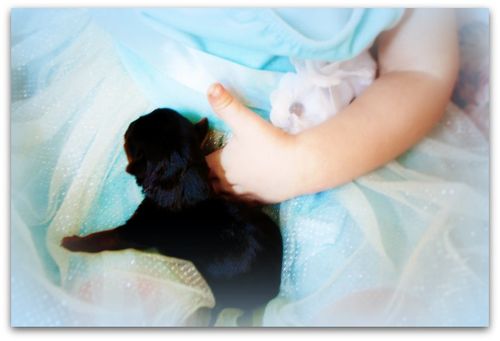 Newborns 055