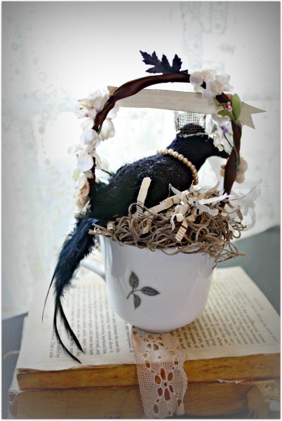 Raven 011