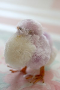 Purple bird