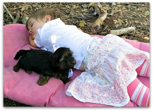 Asleep in the flowers 007