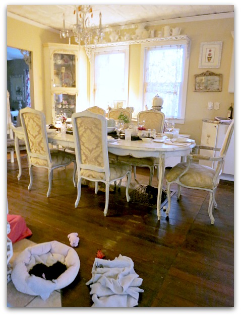 Puppy dinner party 011