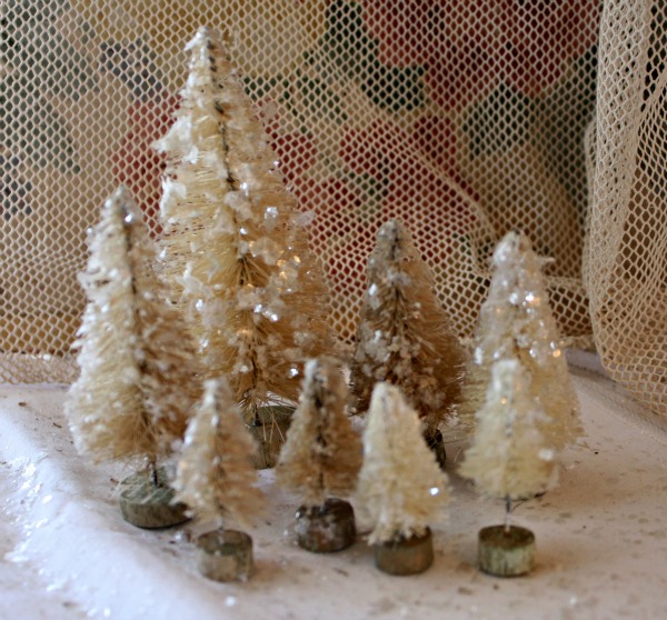 Coffeecramtrees 005