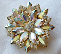 Rainbowpin