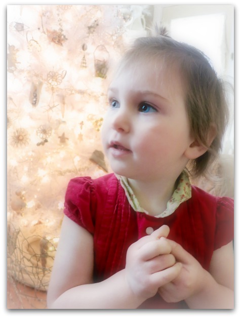 Xmas 2012 093