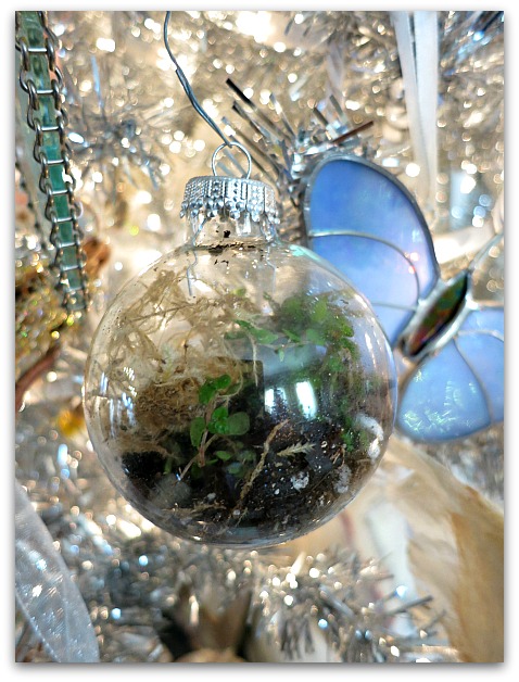 Xmas 2012 058