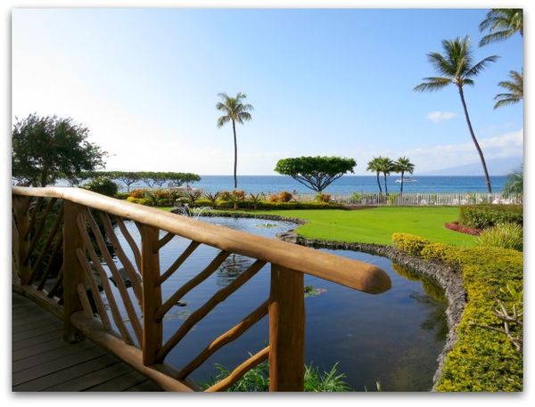 Hawaii 034