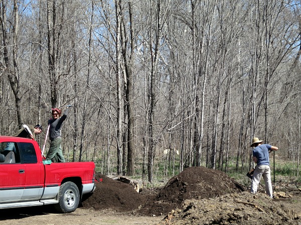 Forest first of april 023