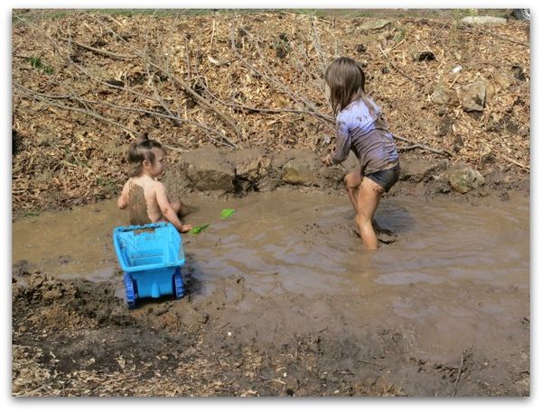 Mud puddle 072