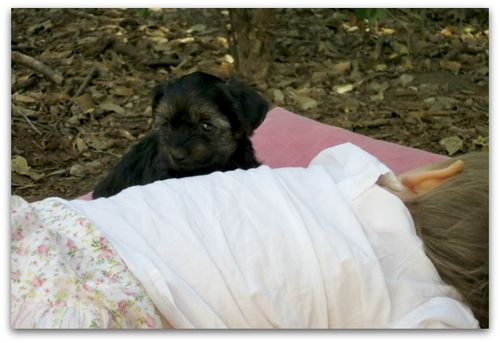 Asleep in the flowers 017