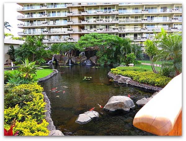 Hawaii 035