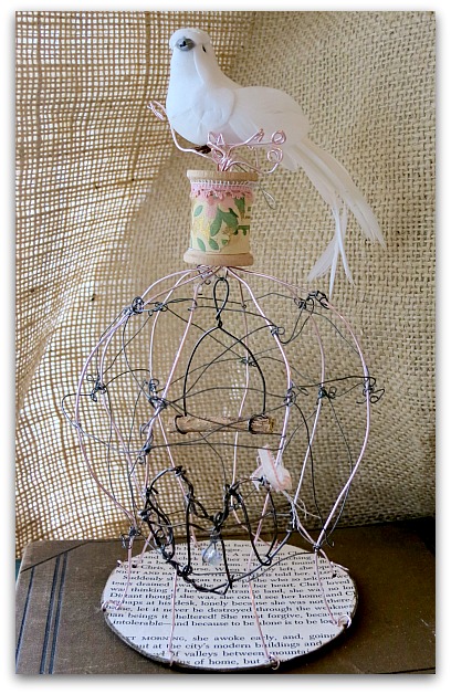 Cages 011