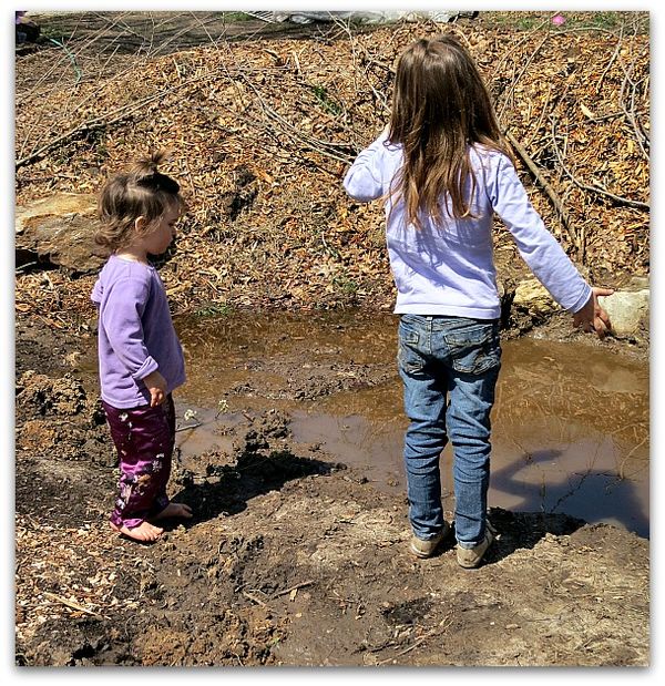Mud puddle 047