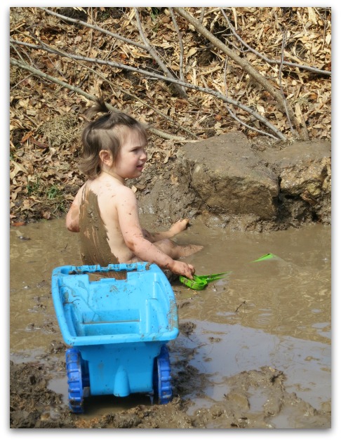 Mud puddle 071