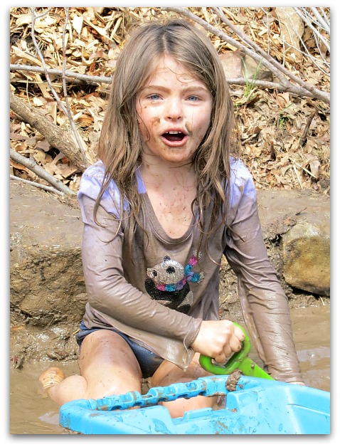 Mud puddle 077