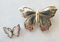 2 butterflies