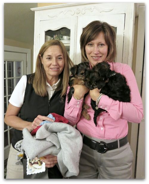 Puppy dinner party 046