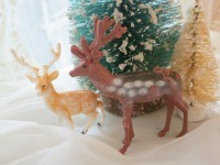 Deers
