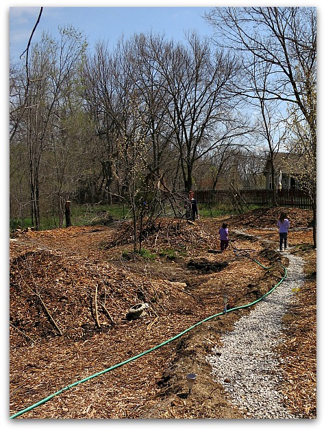 Mud puddle 040