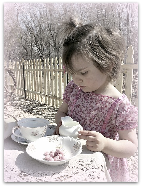 Ara teaparty 009