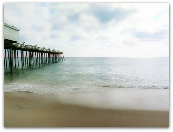 Kitty hawk 014