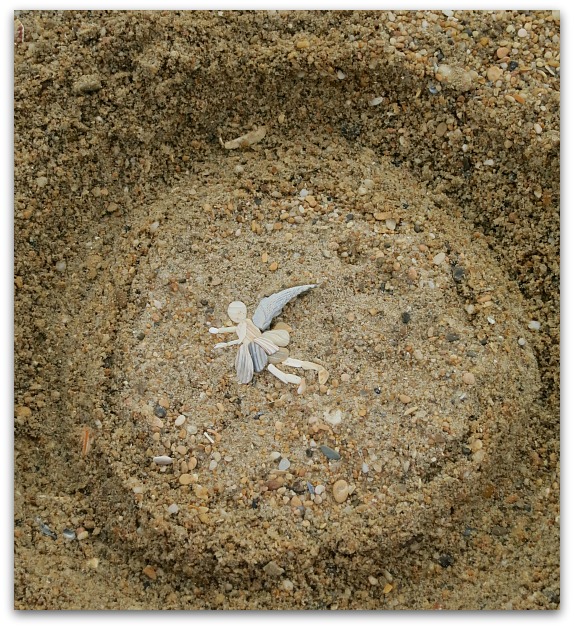 Kitty hawk 033