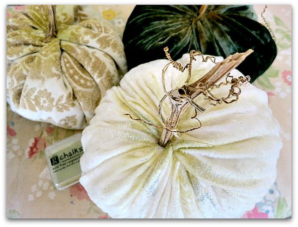 Pumpkins 004