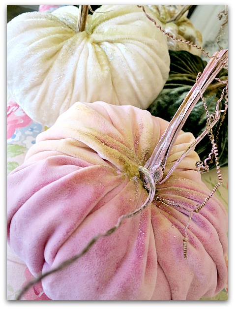 Pumpkins 006