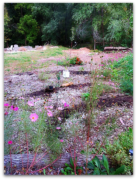 Halloween and garden 029