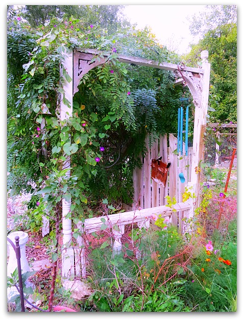 Halloween and garden 002