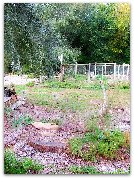 Halloween and garden 028