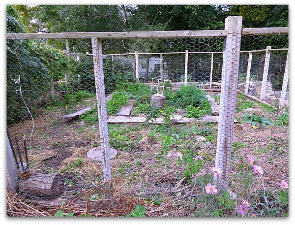 Halloween and garden 003