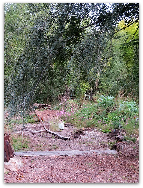 Halloween and garden 006